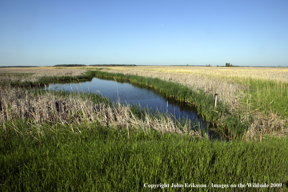 Wetlands on National Wildlife Refuge