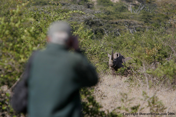 Wildlife Biologist in field with black rhino