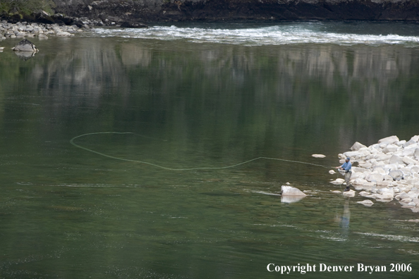 Flyfisherman casting from shore.