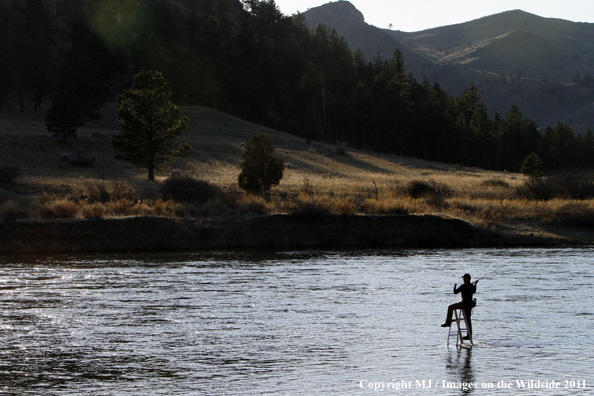 Flyfisherman casting from ladder in middle of river.