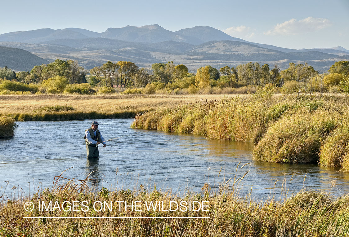 Flyfishing on O'dell Creek, Montana.