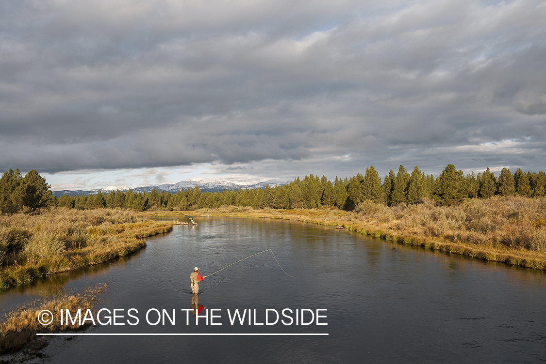 Flyfishing on Madison River, Montana.