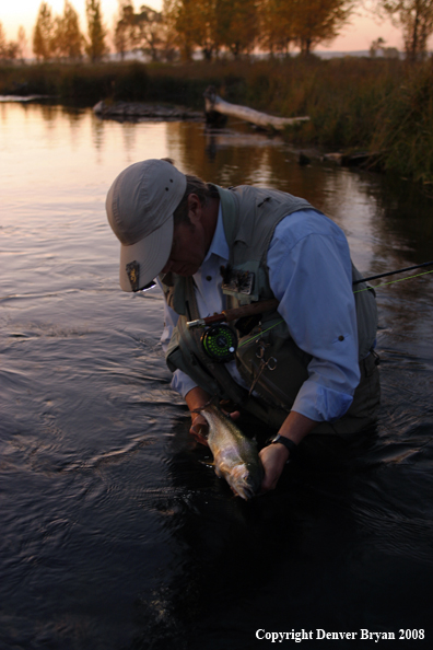 Flyfisherman with Rainbow Trout