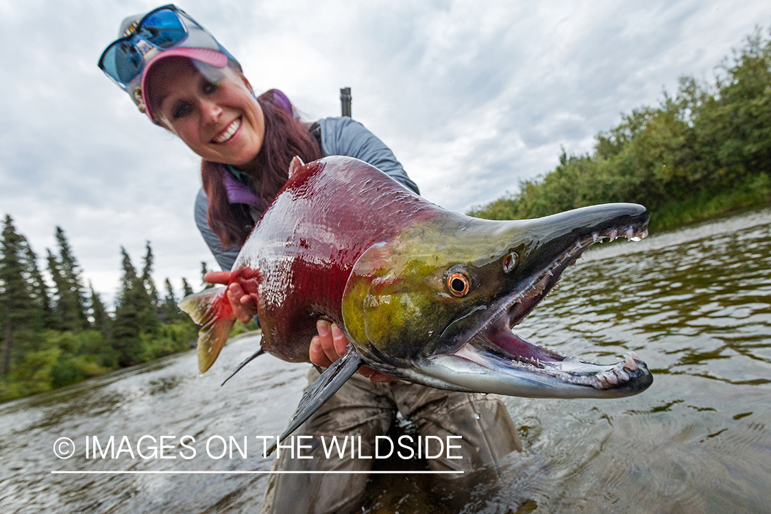 Flyfisher Camille Egdorf with Sockeye salmon. Nushagak river, Alaska.