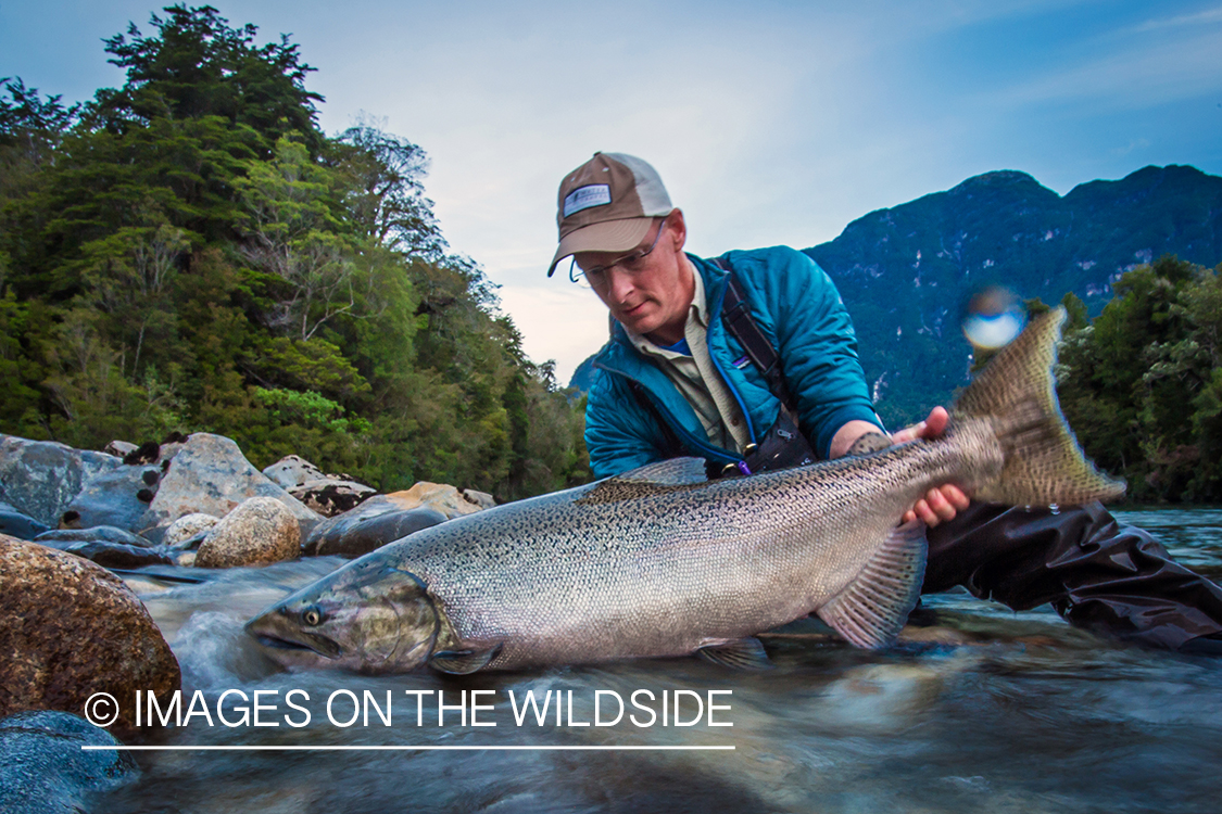 King salmon fishing in Chile.