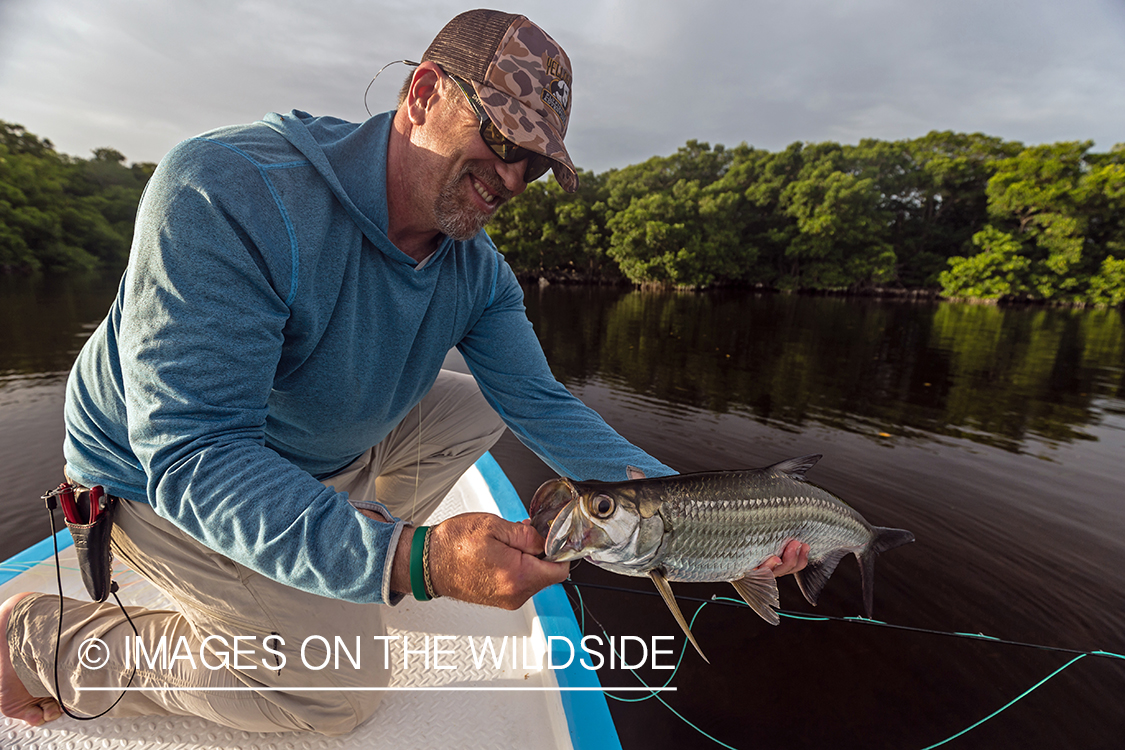 Flyfisherman releasing tarpon.