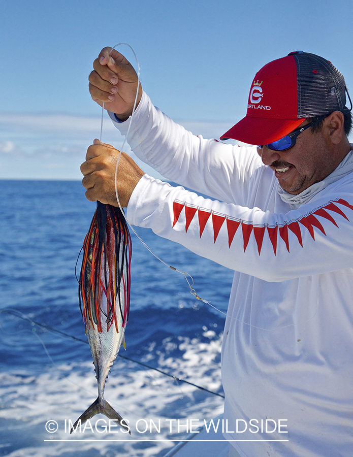 Boat hand preparing bait.