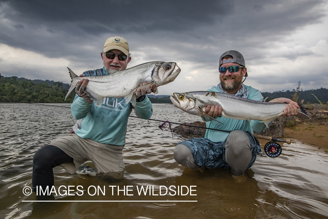 Flyfisherman with payara.