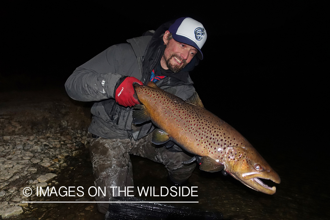 Flyfisherman releasing brown trout at night.