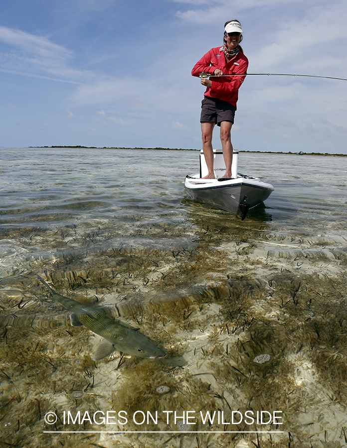 Saltwater flyfishing woman on paddle board fighting bonefish.