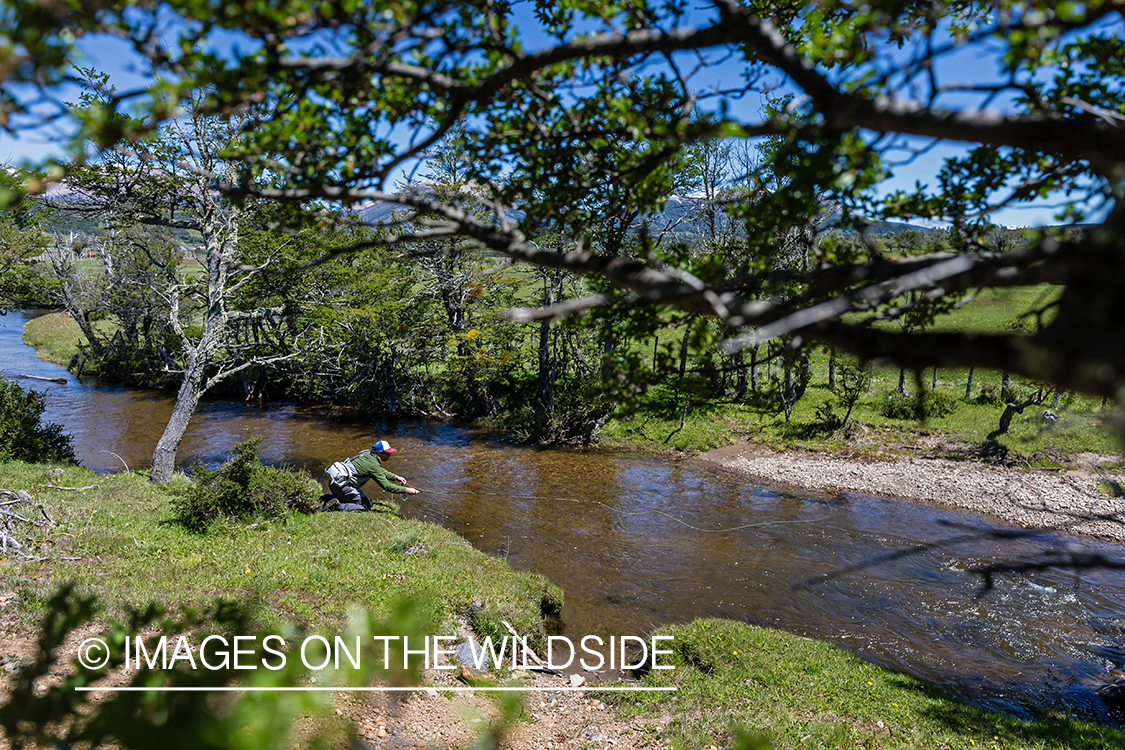 Flyfisherman on stream.