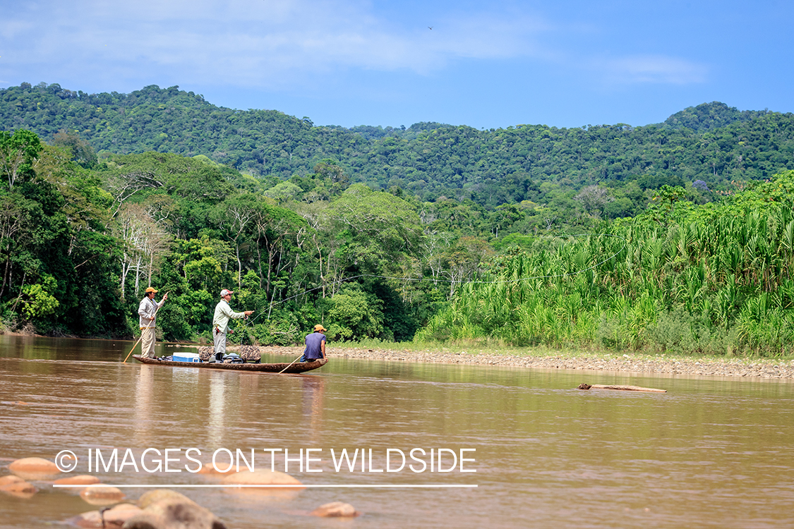 Flyfishing for Golden Dorado in Bolivia.