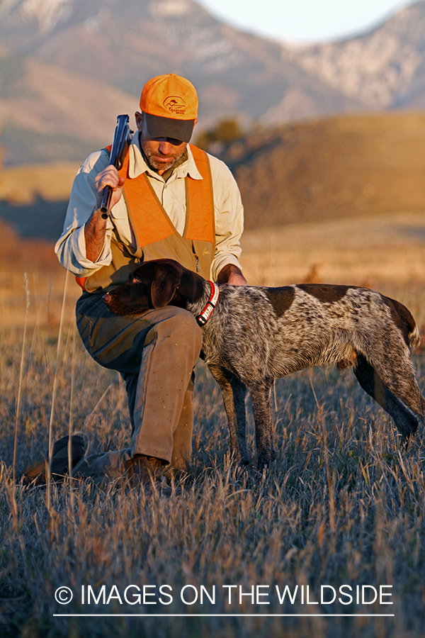 Upland game bird hunter in field with Griffon Pointer.