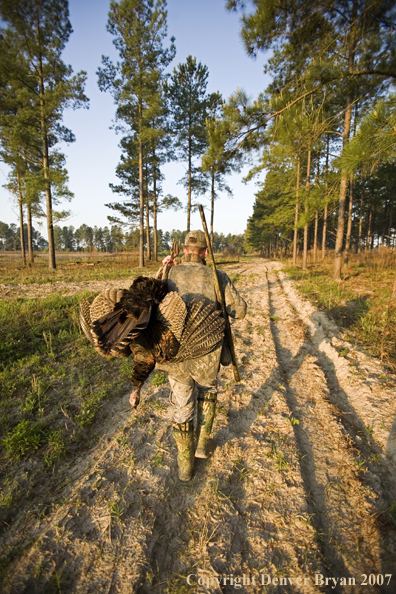 Turkey hunter in field with bagged bird