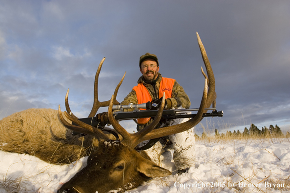 Elk hunter with downed elk.