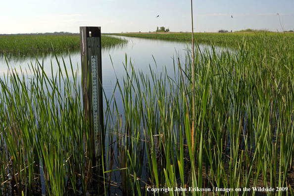 Depth Sign posted on wetlands