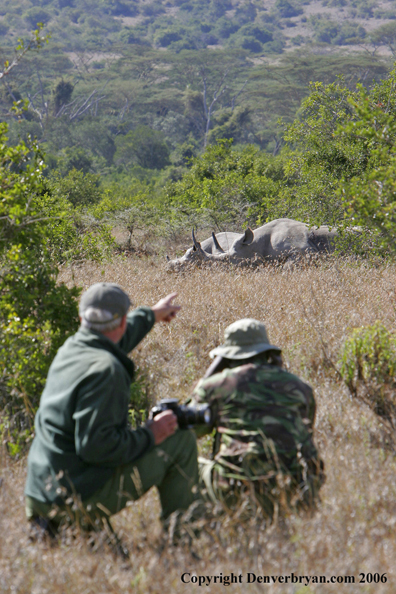 Wildlife Biologist in field with black rhino