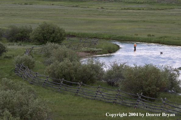 Flyfisherman fishing river.