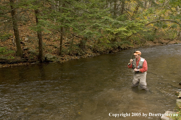 Flyfisherman playing large fish.