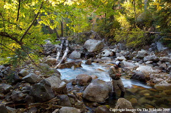 Flyfisherman at Little Cottonwood Creek.