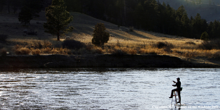 Flyfisherman casting from ladder in middle of river.