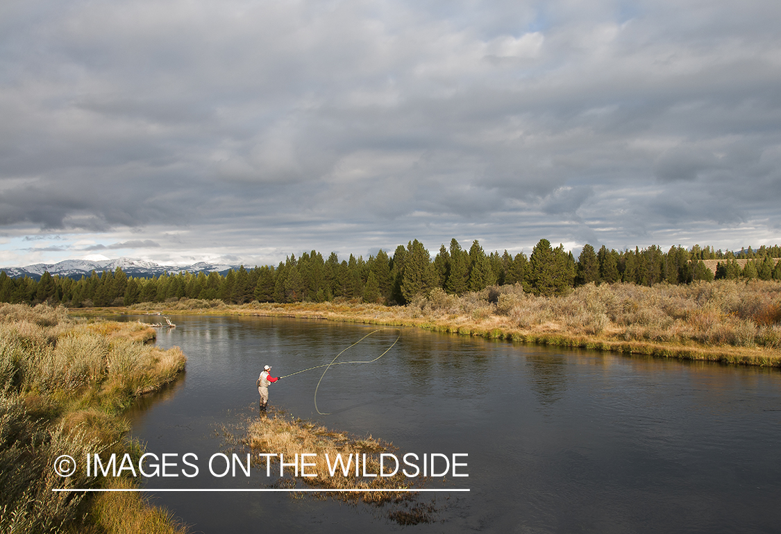 Flyfishing on Madison River, Montana.