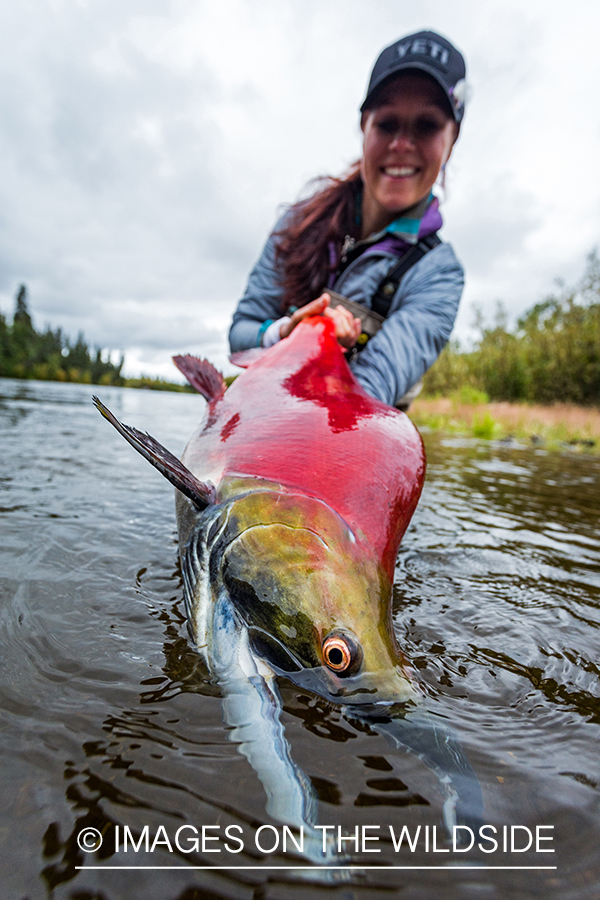 Flyfisher Camille Egdorf with Sockeye salmon. Nushagak river, Alaska.