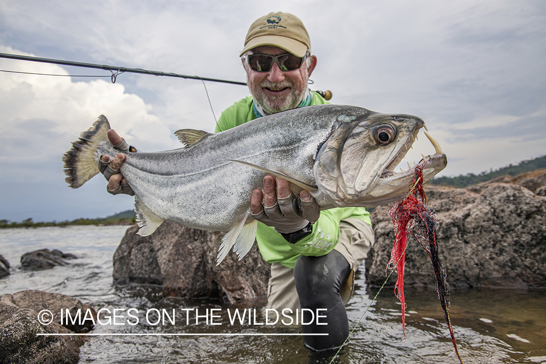 Flyfisherman with payara.