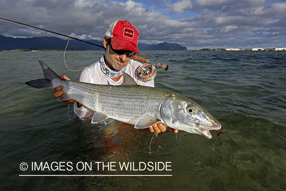 Saltwater flyfisherman with 13 lb bonefish, in Hawaii.