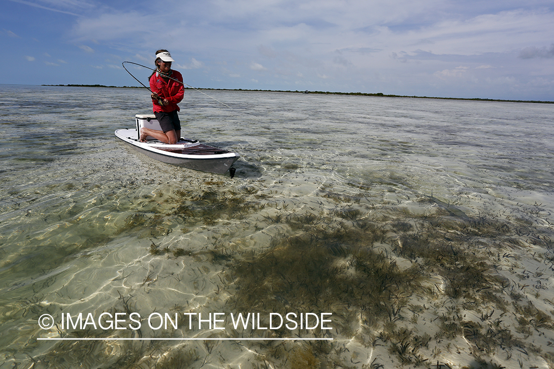 Saltwater flyfishing woman on paddle board fighting bonefish.