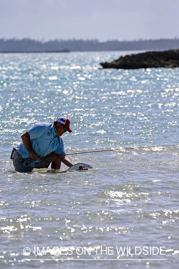 Flyfisherman releasing Bonefish.