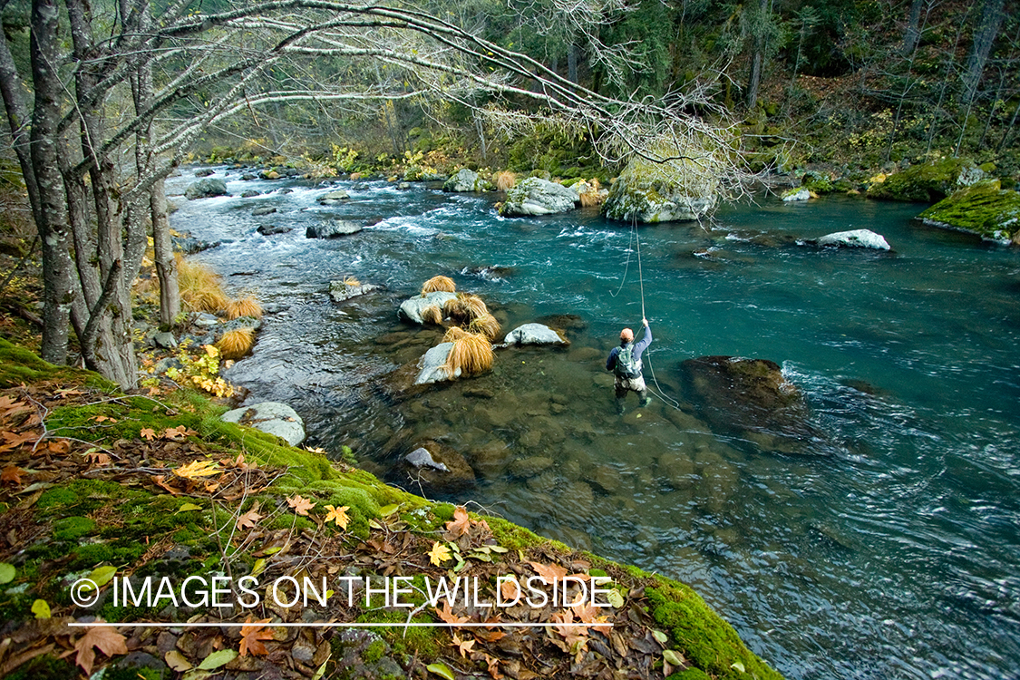 Flyfisherman on river. 