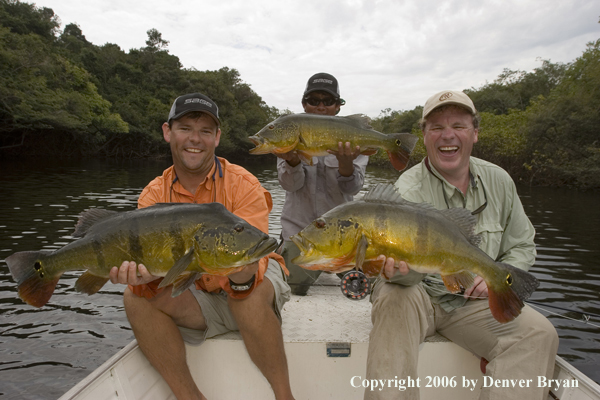 Fishermen holding Peacock Bass