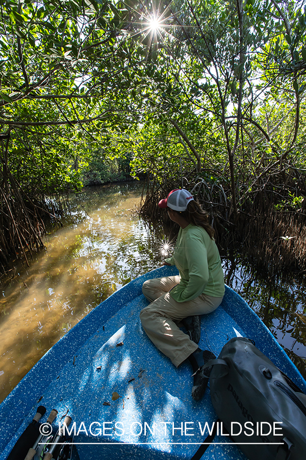 Flyfishing woman in boat working through mangroves.