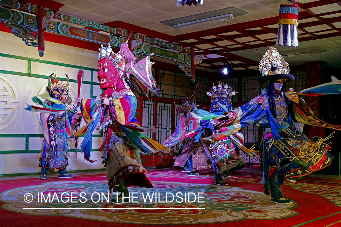 Mongolian folk dancers in spiritual costume, Ulaanbaatar city tour, Mongolia.