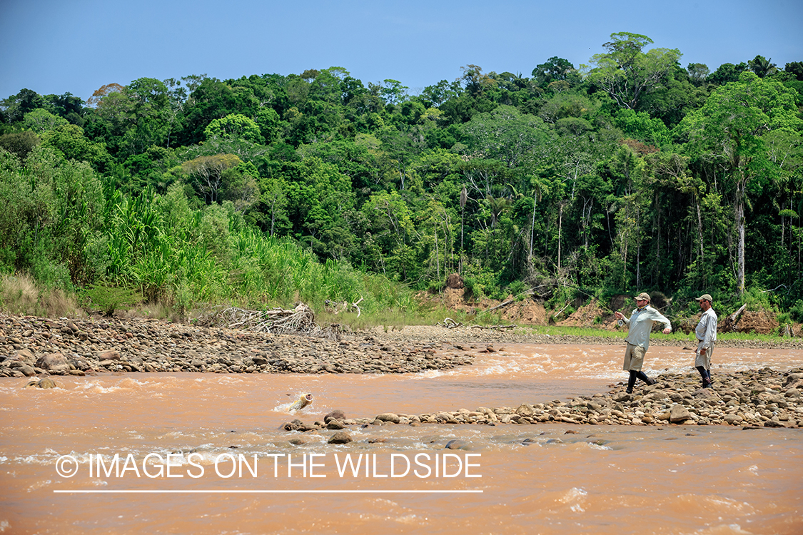 Flyfishing for Golden Dorado in Bolivia.