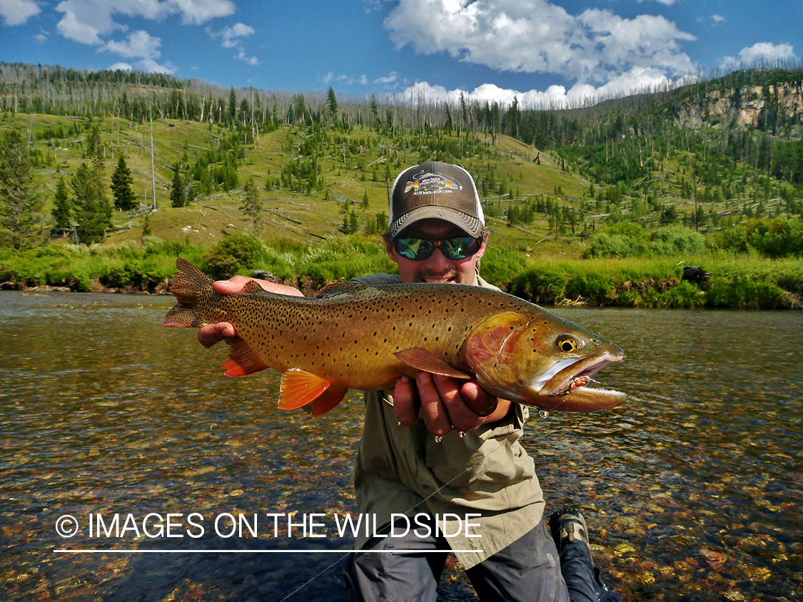 Flyfisherman with cutthroat trout.