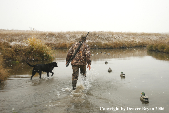 Duck hunting in winter