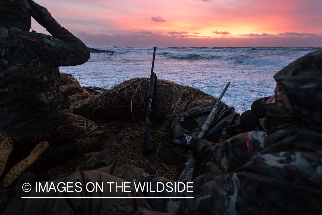 King Eider and Long-tailed duck hunting in Alaska, hunters looking.