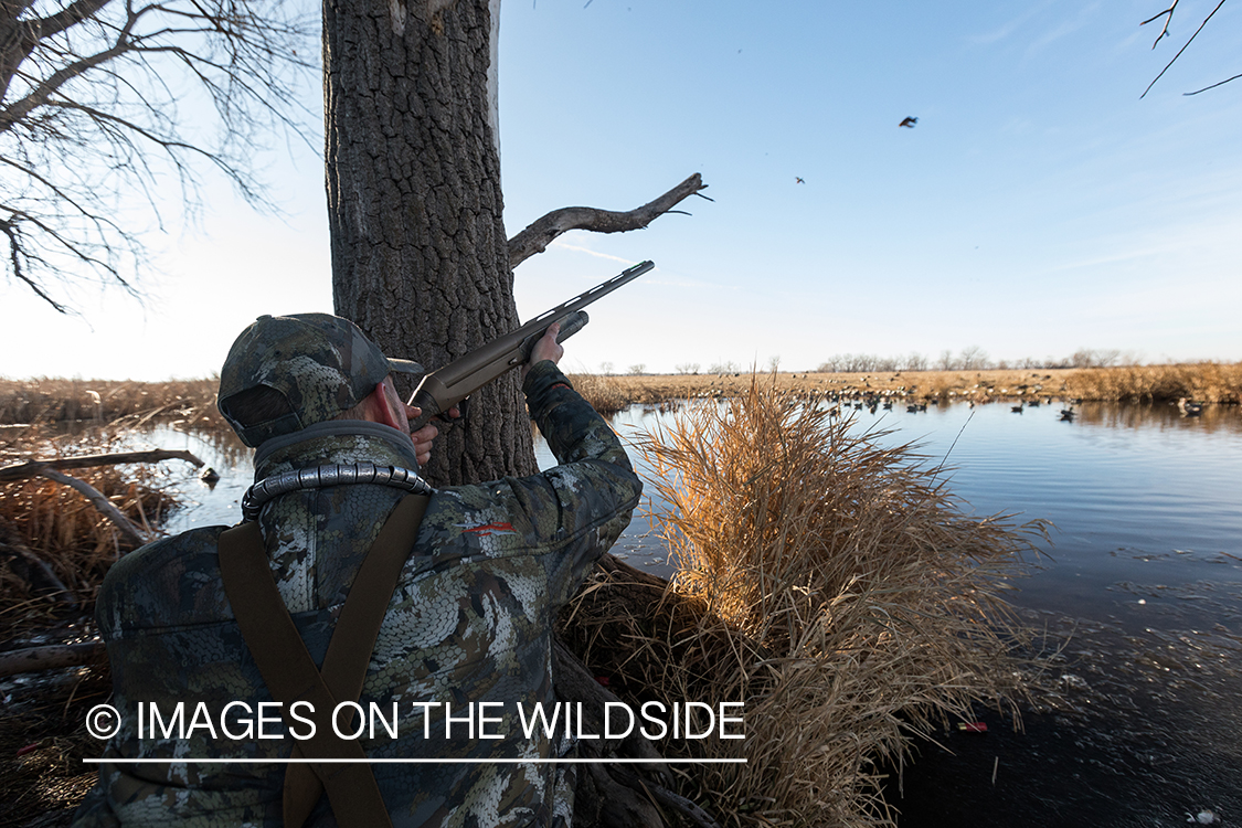 Waterfowl hunting