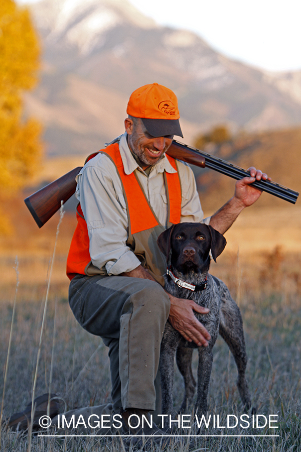 Upland game bird hunter in field with Griffon Pointer.