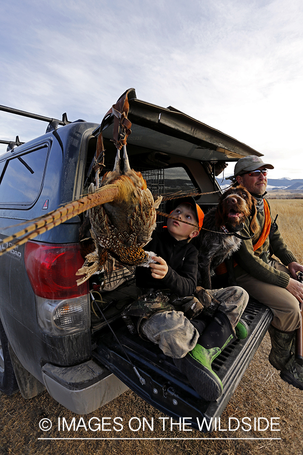 Father and son pheasant hunters with bagged pheasant. 