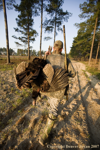 Turkey hunter in field with bagged bird