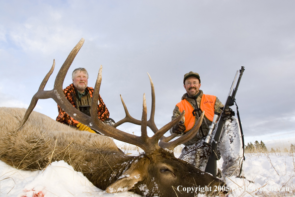 Elk hunters with downed elk.