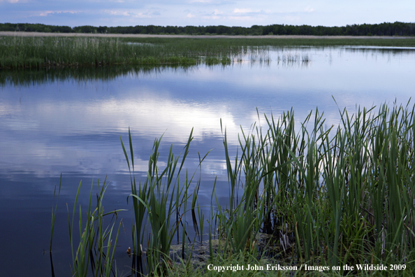 Wetlands on National Wildlife Refuge