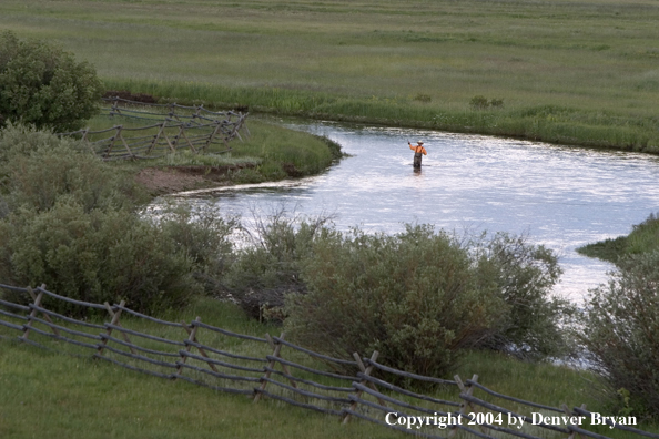 Flyfisherman fishing river.