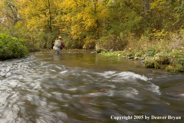 Flyfisherman wading in stream.