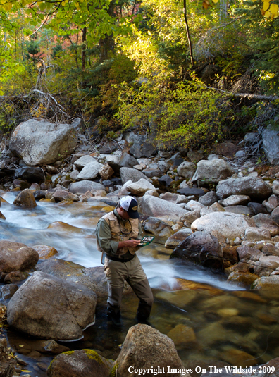 Flyfisherman at Cottonwood Creek.