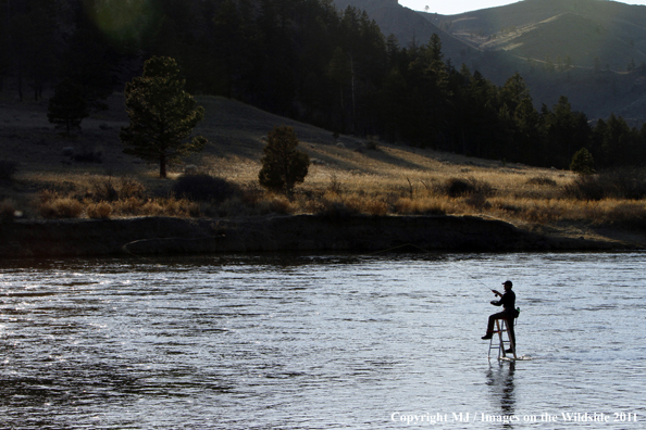 Flyfisherman casting from ladder in middle of river.