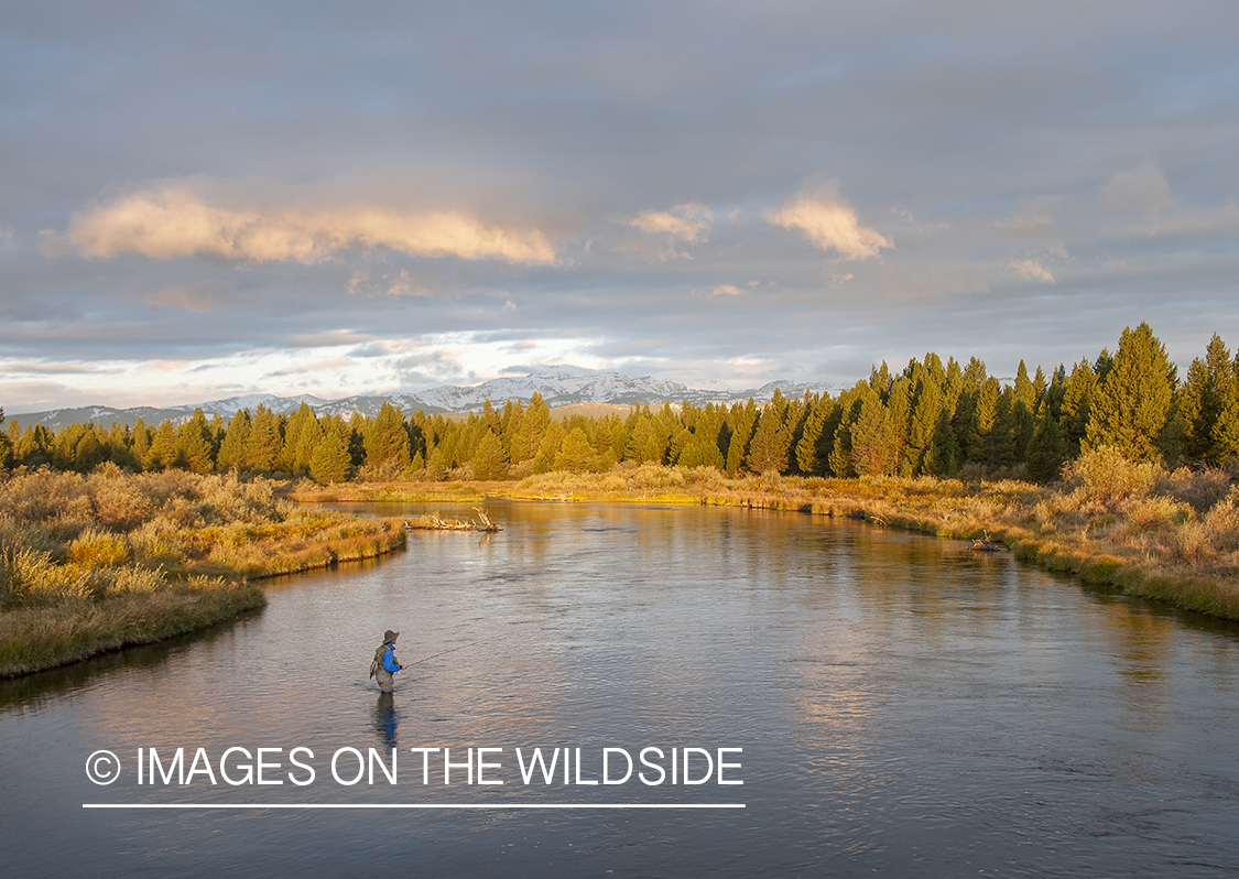 Flyfishing on Madison River, Montana.